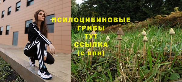 Альфа ПВП Баксан