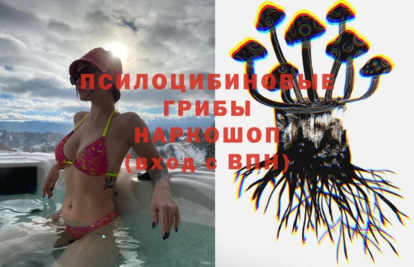 ешки Балахна