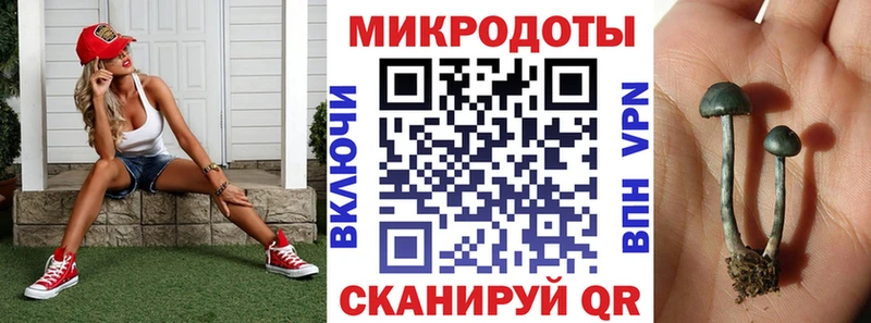 Галлюциногенные грибы ЛСД  Сенгилей 